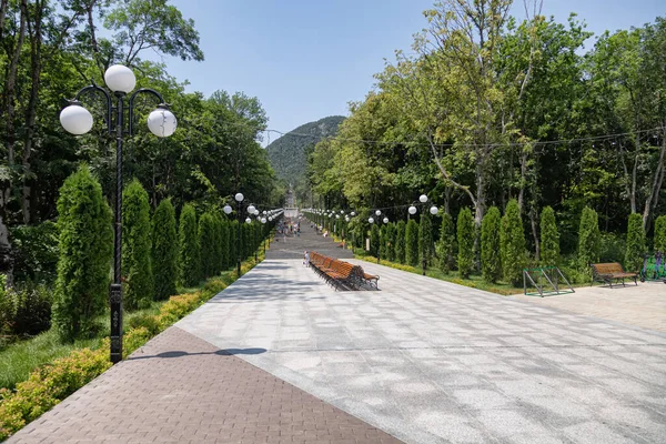 Zheleznovodsk Juillet Vue Bas Escalier Avec Fontaines Parterres Fleurs Dans — Photo