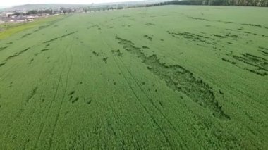 Gündüz tarımsal tarlalar üzerinde hava fotoğrafçılığı