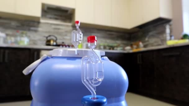 Fermentation active du vin fait maison dans des récipients en plastique dans la cuisine — Video