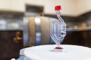 şarabın fermantasyonu, işlem üzümün mayalanması kabarcıklarla yapılmalı