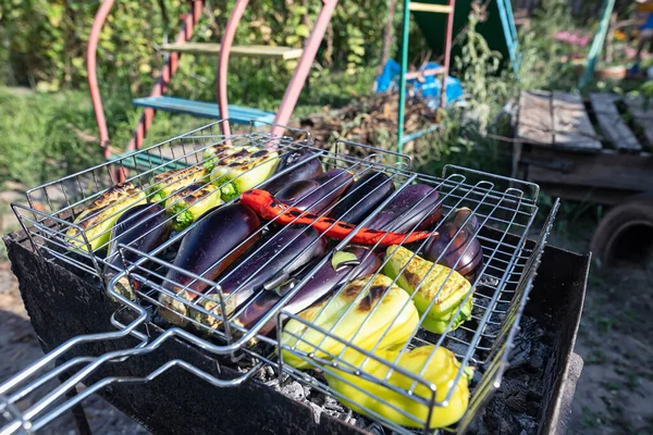 Préparation Des Légumes Aubergine Paprica Piment Sur Gril Pour Salade — Photo