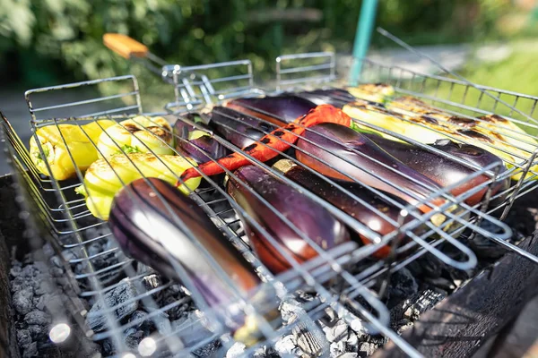 Zubereitung Von Gemüse Auberginen Paprika Und Chilischote Auf Dem Grill — Stockfoto