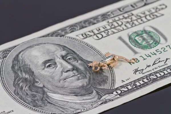 Zlatý Salamandr v kusovníku closeup sto dolarů — Stock fotografie