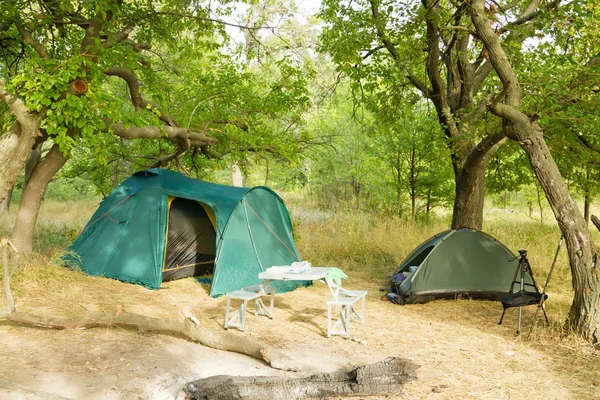 En liten camping i ekskog — Stockfoto