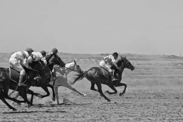 Gespannen strijd in de paardenrennen — Stockfoto