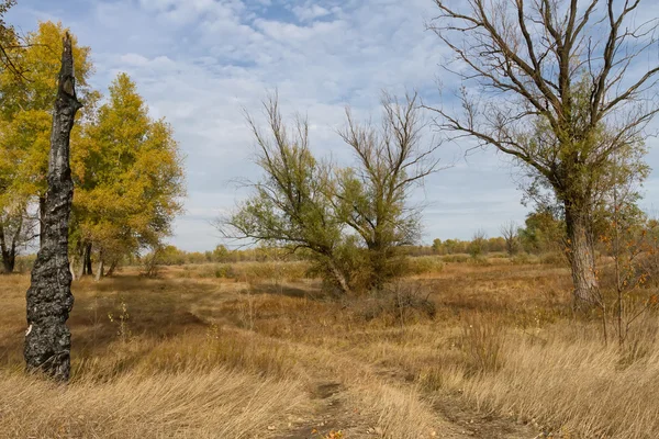 Paysage d'automne dans la plaine inondable de Volgo-Akhtuba — Photo