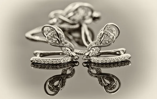 Elegante zilveren oorbellen in de vorm van een hoefijzer — Stockfoto