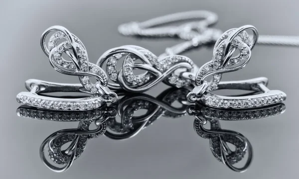 Κομψά ασημένια σκουλαρίκια σε σχήμα πέταλου — Φωτογραφία Αρχείου
