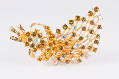 bir tüy şeklinde altın broş