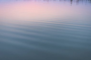 Yumuşak Su dalgası arkaplan rengi