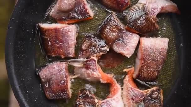 野菜油でフライパンで揚げた魚 — ストック動画