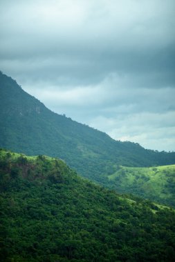 Tropikal bir ormanda bulutlu dağlar