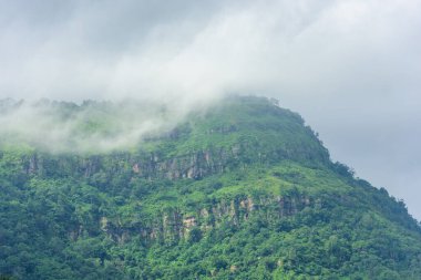 Tropikal bir ormanda bulutlu dağlar