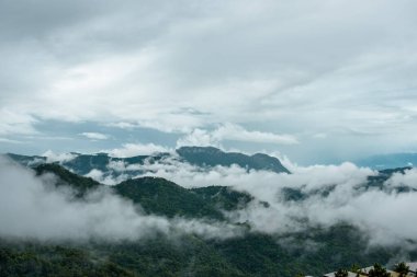 Tropikal bir ormanda bulutlu dağlar