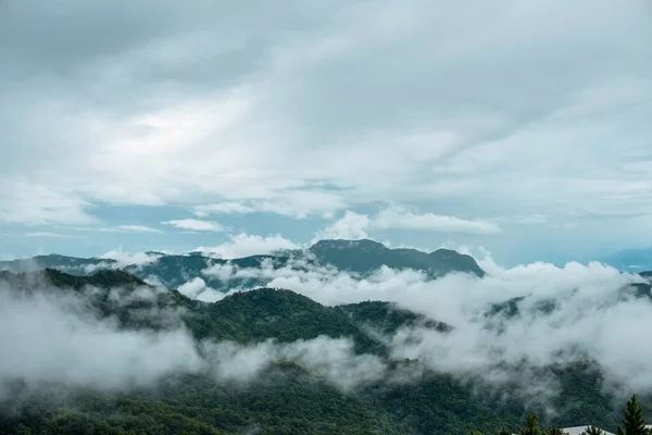 Горы Облаками Тропическом Лесу — стоковое фото