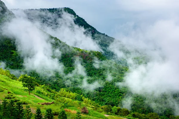 Montagnes Avec Nuages Dans Une Forêt Tropicale — Photo