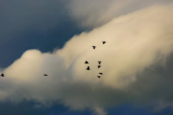 Thunderstorm Clouds Sky Rainy Season — Stock Photo, Image