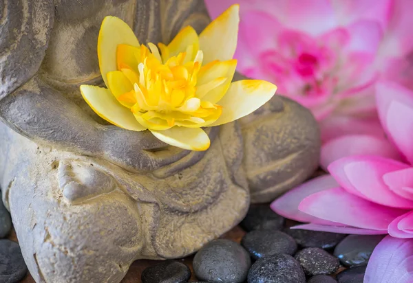 Meditující Buddha drží Lotus — Stock fotografie