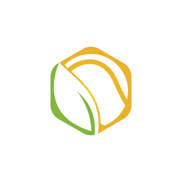 Logo Vecteur Feuille Tennis Design Jeu Éco Symbole Icône Modèle — Image vectorielle