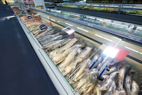 Row of refrigerator with frozen fish in the supermarket.