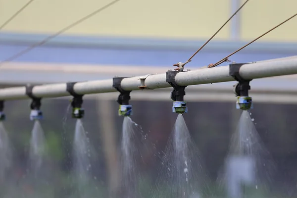 温室効果に水をまく — ストック写真