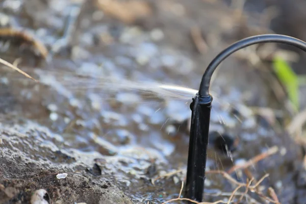 Druppelen Emitter — Stockfoto