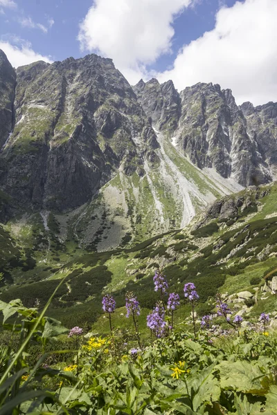 Yol thetatra mountains, Slovakya için rysy ve Zirvesi — Stok fotoğraf