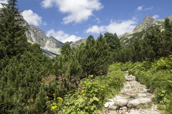 Yol thetatra mountains, Slovakya için rysy ve Zirvesi — Stok fotoğraf