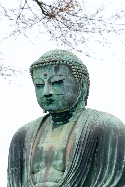 The great buddha - kamakura, japan — Stock Photo, Image