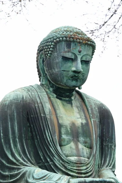 The Great Buddha of Kamakura — Stock Photo, Image