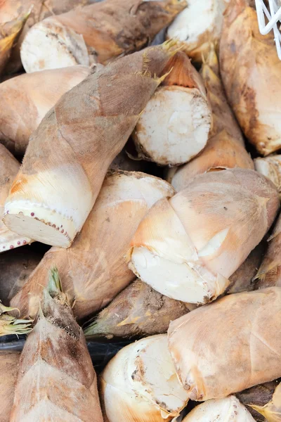 Bamboo shoot in market — Stock Photo, Image