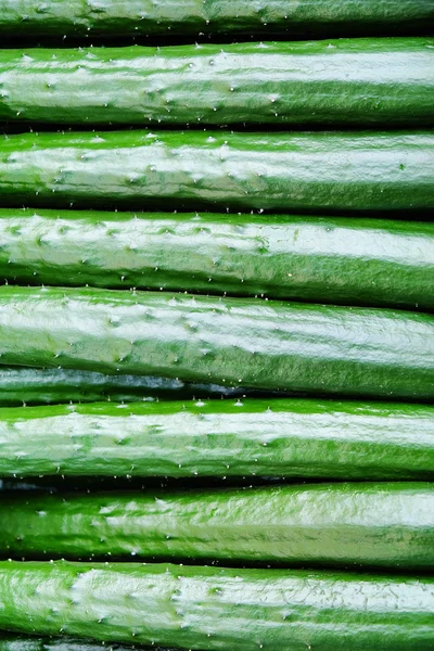 Japanese cucumber background — Stock Photo, Image