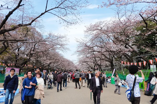 桜の季節の間に上野公園 — ストック写真