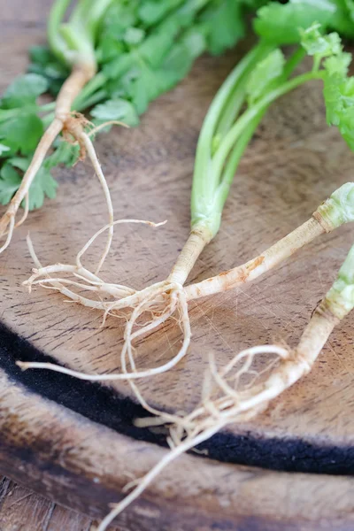 Celery root vegetable — Stock Photo, Image