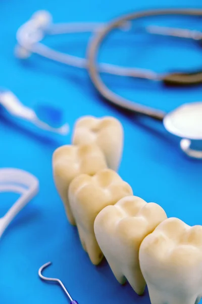 Dentalmodell Und Zahnärztliche Ausrüstung Auf Blauem Hintergrund Konzeptbild Des Zahnärztlichen — Stockfoto