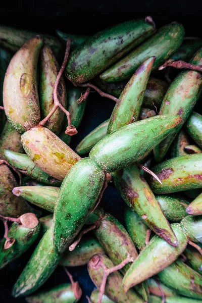 Dittoceras Frescas Maculatum Kerr Frutas Uma Fruta Rara Doi Phu — Fotografia de Stock