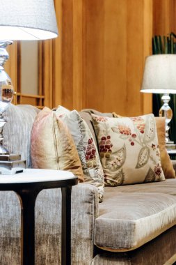 Koltuktaki yastığın ayrıntılı görüntüsü, lüks oturma odası.