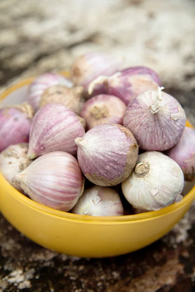 Fresh organic garlic — Stock Photo, Image