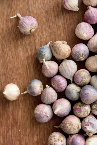 Fresh organic garlic — Stock Photo, Image