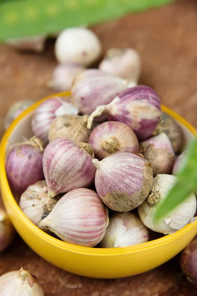 Ajo orgánico fresco — Foto de Stock