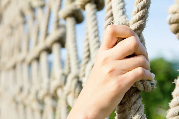 Fechar até as cordas de escalada — Fotografia de Stock