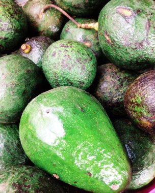 Taze avokado arka plan