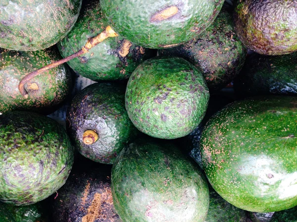 Verse avocado's achtergrond — Stockfoto
