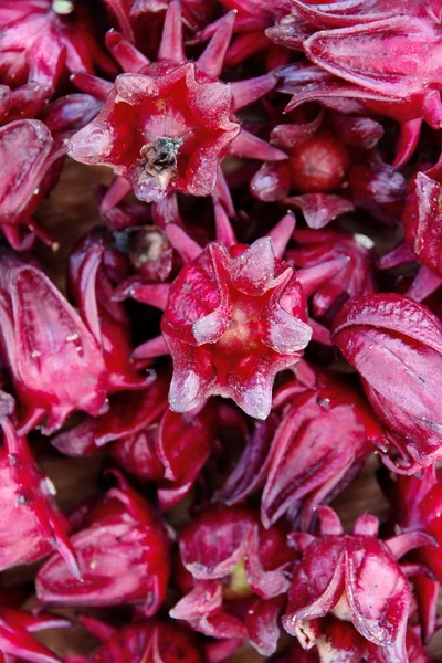 新鮮なローゼルの花のグループ — ストック写真