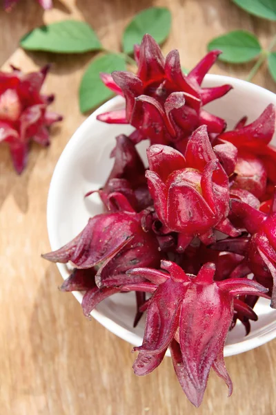 Flor de rosela fresca — Fotografia de Stock