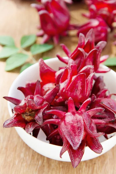 Fresh roselle flower — Stock Photo, Image