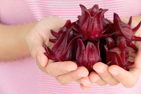 Mano sosteniendo flor rosada — Foto de Stock