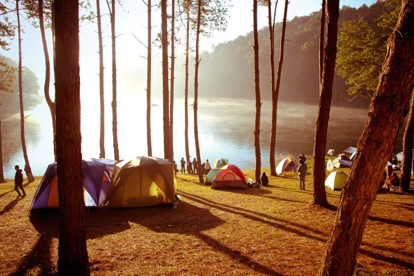 Pang Tong sotto il parco della foresta reale — Foto Stock