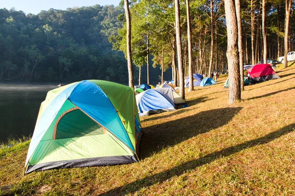 Pang Tong sotto il parco della foresta reale — Foto Stock