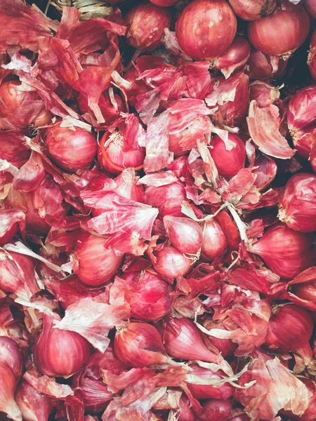 Shallot ,asia red onion. — Stock Photo, Image